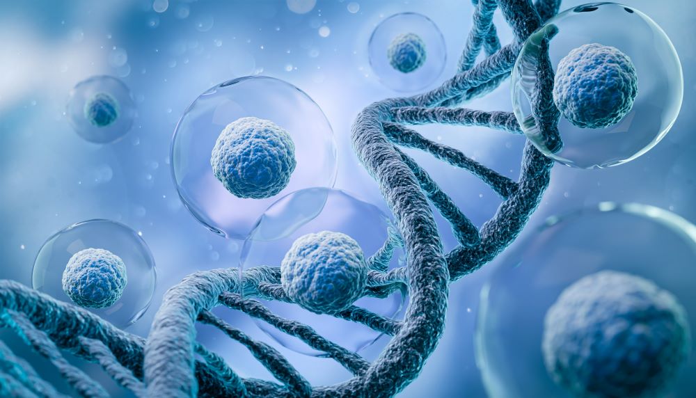 生物学实验3
