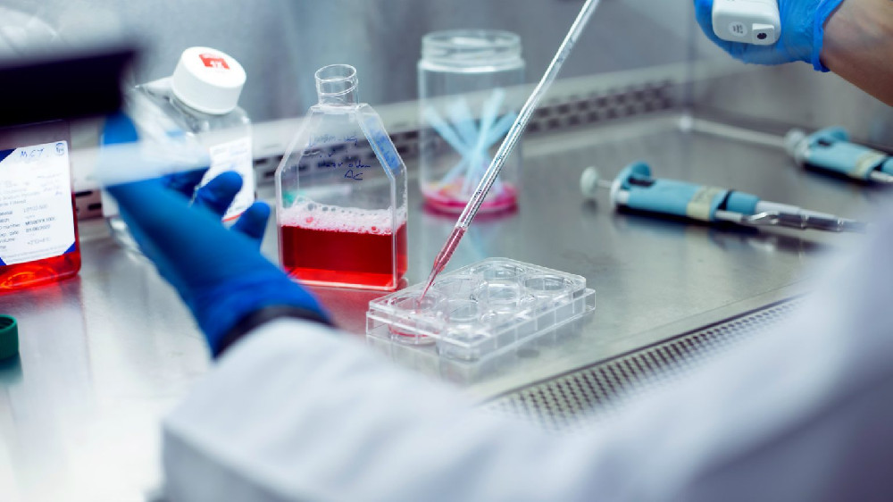 生物学实验2